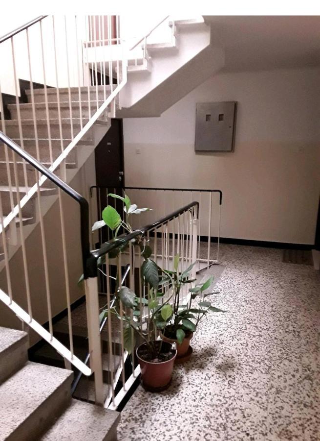 Apartment Vlatka 斯普利特 外观 照片